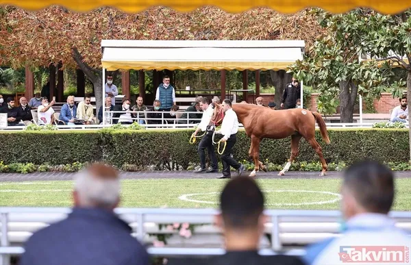 14 at toplamda 4 milyon 640 bin liraya satıldı - 20