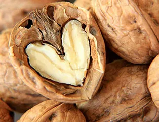 Ceviz vücudu nasıl etkiliyor? Faydaları nelerdir?