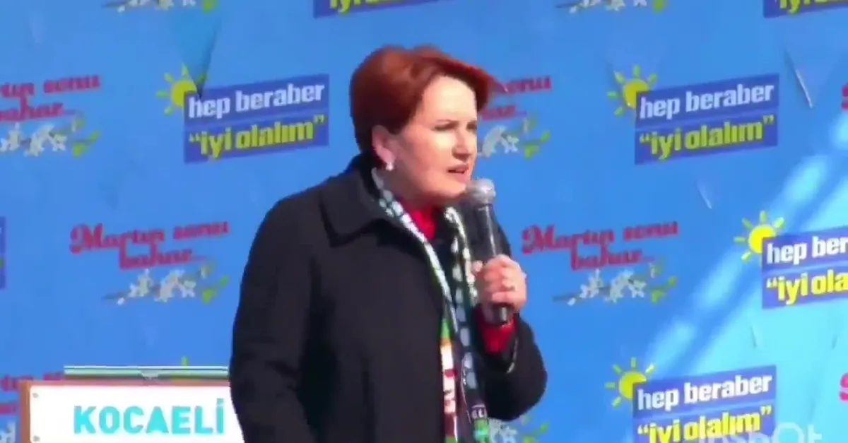 Meral Akşener yine FETÖ'cülere sahip çıktı!