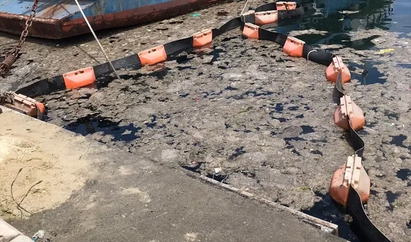 son-dakika-istanbul-universitesi-su-bilimleri-fakultesi-marmara-denizindeki-musilaji-deniz-salyasi-dogal-ortaminda-deniz-bakteri-izolatlariyla-temizle-1623659593522.jpg SON DAKİKA: İstanbul Üniversitesi Su Bilimleri Fakültesi Marmara Denizi'ndeki müsilajı (deniz salyası) doğal ortamında deniz bakteri izolatlarıyla temizledi-2