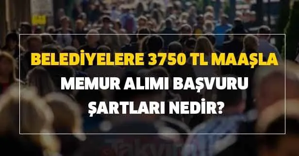 Belediyelere 3750 TL maaşla memur alımı başvuru şartları nedir?