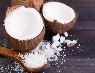 Ülsere beyaz kalkan