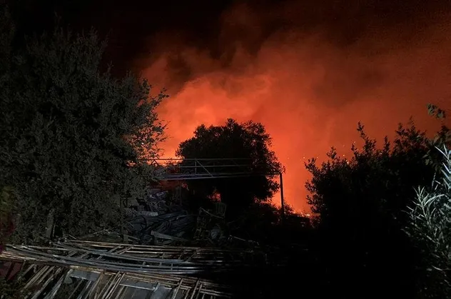 Bodrum'da makilik alanda yangın!