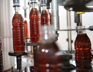 Sağlığını sirkele