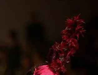 Böyle Olur Hong Kong Modası