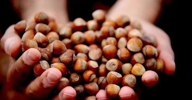 17 mart 2021 findik fiyatlari ne kadar