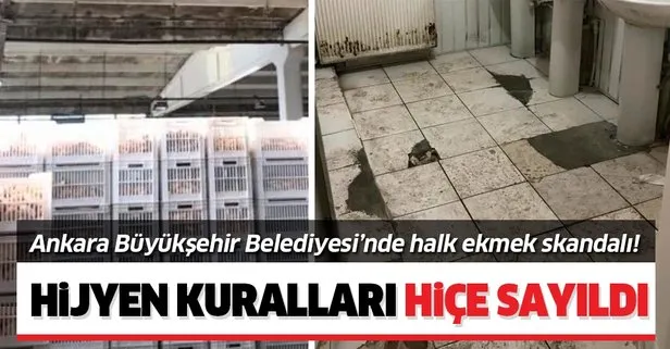 Ankara Büyükşehir Belediyesi’nde halk ekmek skandalı! Hijyen kuralları hiçe sayıldı