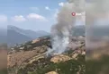 Aydın'da yangın!