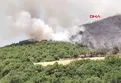Bursa'da orman yangını!