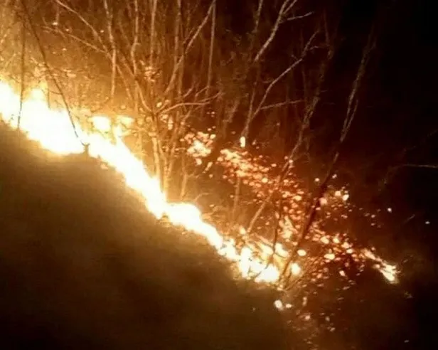 Son dakika: Osmaniye'de çıkan orman yangınına müdahale ediliyor-1