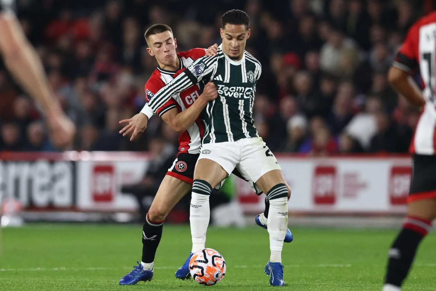 Transferde geleceğin yıldızları Fenerbahçe'ye! - 5