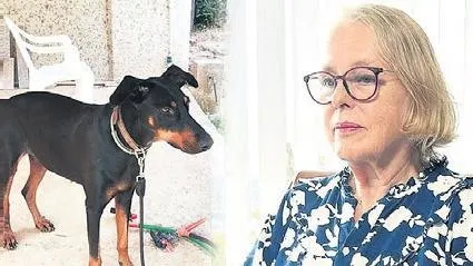 1694729511597.jpeg Korhan Berzeg'i arama çalışmaları devam ediyor! Su ve sulama depoları da boşaltıldı: Metafizikle uğraşan 5 kişi çalışmalara dahil oldu-2