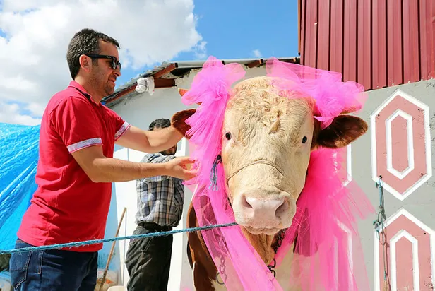 15-16-temmuz-resmi-tatil-mi-15-temmuz-bayram-tatiliyle-mi-birlestirildi-kurban-bayram-tatili-11-gun-mu-olacak-1625633937694.jpg 15 Temmuz bayram tatiliyle mi birleştirildi? 15-16 Temmuz resmi tatil mi? Kurban Bayram tatili 11 gün mü olacak 2021?-4