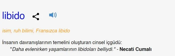 libido-ne-demek-libido-kelimesi-tdk-sozluk-anlami-nedir-1717187036856.jpg