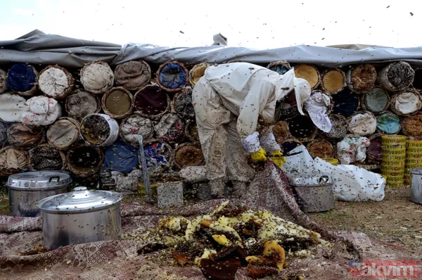 Kilosu 350 TL! 3 bin rakımda üretilen karakovan balından bu yıl 250 ton bekleniyor - 19