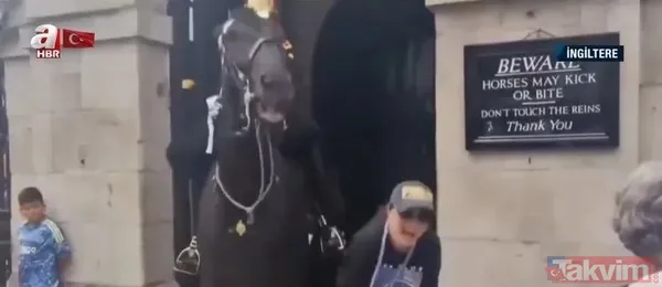 İngiltere’de Kraliyet atı krizi! Çinli turist ‘dikkat ısırır’ uyarısını görmeyince olanlar oldu: Çığlık çığlığa arkadaşlarına koştu - 7