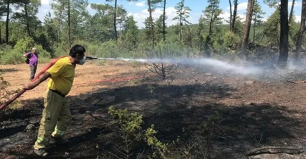 Son dakika: Bursa'da orman yangını: 5 dönüm alan zarar gördü