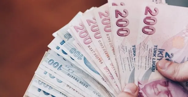 2 milyon kişiye 1000 TL 'lik destek alımı ve başvuru sorgulama-3