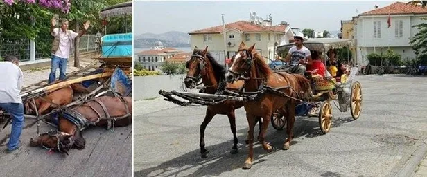 Başkan Erdoğan fayton tartışmasına el koydu! Eziyet artık sona eriyor-2