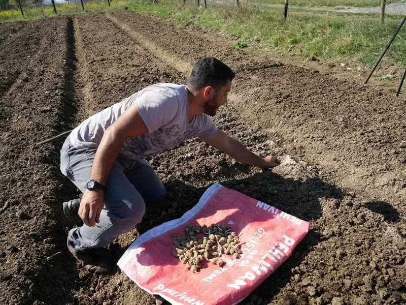 cocukken-yaylada-gorup-bahcesine-ekmisti-simdi-1-donumden-200000-tl-kazaniyor-1730800842246.jpeg (Takvim Foto Arşiv)