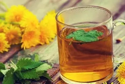 Şifa dolu melisa çayı