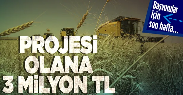 Başvuru için son haftaya girildi! Tarım sektörüne ilaç olacak: Projesi olana 3 milyon TL