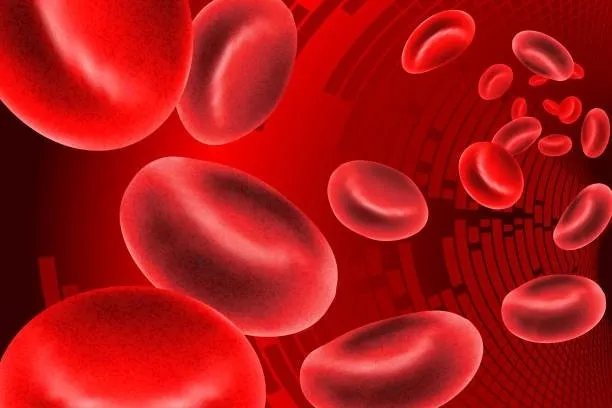 en-uzun-omurlu-kan-grubu-belli-oldu-70-yasina-kadar-hastalik-yuzu-gormuyorlar-1718890106328.jpg En uzun ömürlü kan grubu belli oldu! 70 yaşına kadar hastalık yüzü görmüyorlar-7