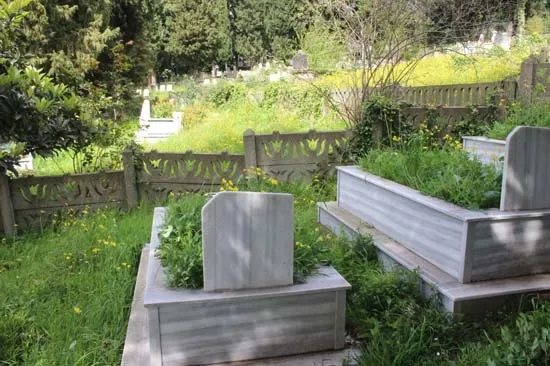 Ordu'da Yeşilçam klasiği Davaro gerçek oldu! Mezarların yönleri şaşırttı-6