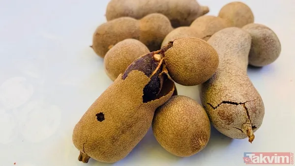 Osmanlı’nın gizli şifası: İnsülin direncini yok ediyor bağırsakları harekete geçiriyor - 10