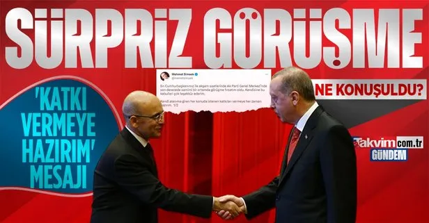 Başkan Erdoğan Eski Maliye Bakanı Mehmet Şimşek’i kabul etti! Şimşek’ten ’katkı vermeye hazırım’ mesajı