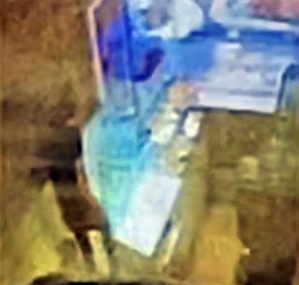 Kağıthane'de dondurmacıya kurşun yağdırdılar! 1'i çocuk 2 yaralı-2