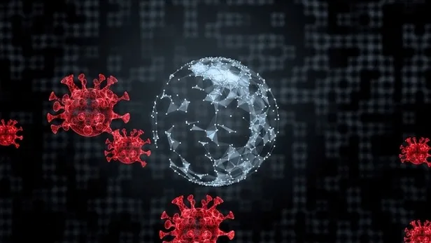 Mutasyonlu virüs hangi illerde var? Türkiye'de kaç kişide var? Nerelerde görüldü?-8