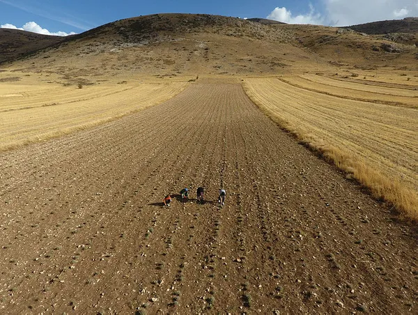 ABD’den öğretim üyeliğini bırakıp geldi! Burdur’da susuz tarım projesiyle girişimci oldu - 4