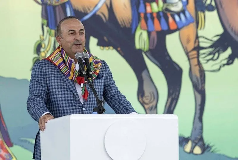 Çavuşoğlu: Alman firmalarına soruşturma yok