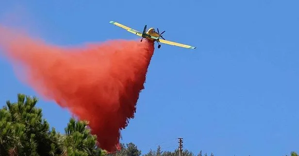 İzmir’de iki ayrı noktada orman yangını