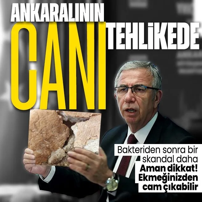 Vatandaşın canı tehlikede! Ankara Halk Ekmek’te bir skandal daha: Bakteriden sonra şimdi de cam skandalı