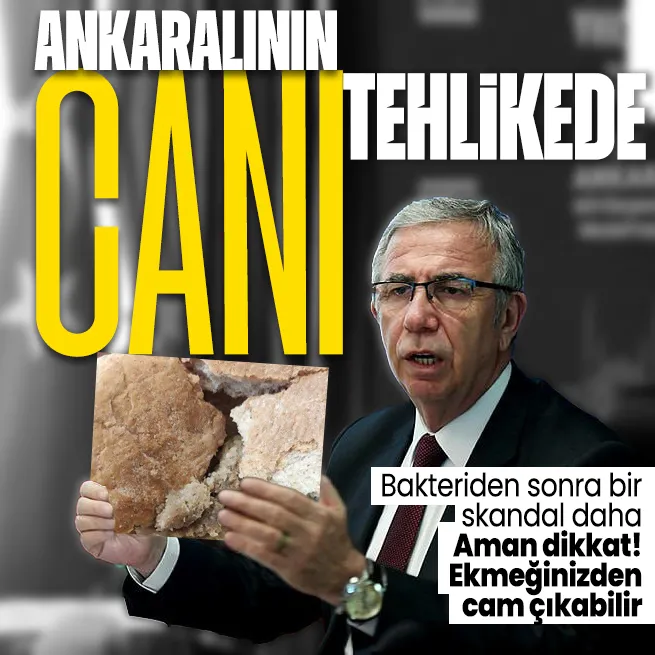 Vatandaşın canı tehlikede! Ankara Halk Ekmek’te bir skandal daha: Bakteriden sonra şimdi de cam skandalı