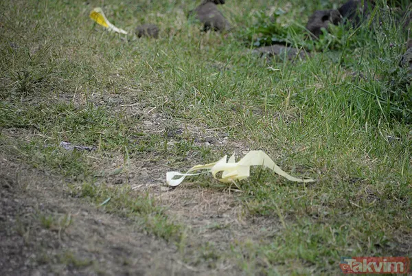 Diyarbakır'da geçtiğimiz gün vahşice katledilen aile ile ilgili korkutucu detaylar! Amaç hepsini katletmek... - 10
