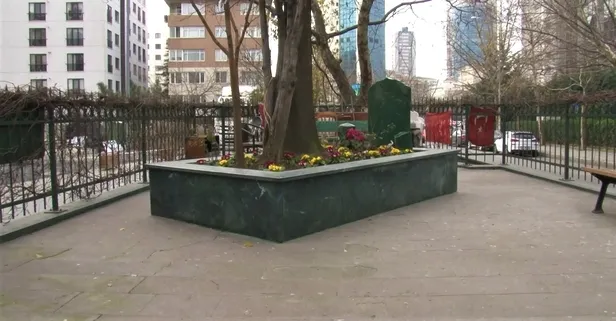 İstanbul Ataşehir'de caddeyi ikiye bölen türbe! 'Erenköy Fatihi Ali Gazi Baba' mezarını gören şaşırıp kalıyor