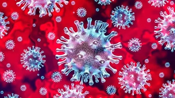 Dünyayı kasıp kavuran yeni tip Koronavirüs bir ay içerisinde... Bilim insanları ilk kez açıkladı!-3
