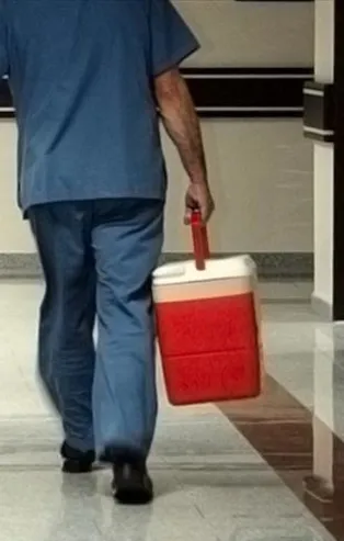 Organ bağışı dinen caiz mi? Diyanet İşleri Başkanlığı'ndan "organ bağışı" fetvası