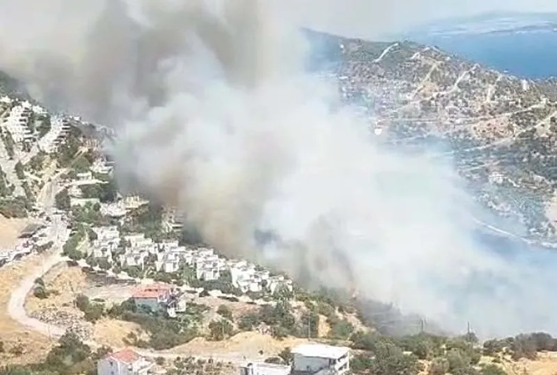 İzmir’de orman yangını