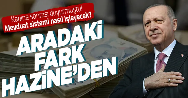 Dövize endeksli mevduat sistemi nasıl işleyecek? Tek tek açıkladı: Farkı Hazine karşılayacak
