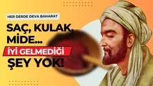 Kulak, mide, saç çözmediği sağlık problemi yok! İbn-i Sinanın her yemeğe ekleyin dediği baharat