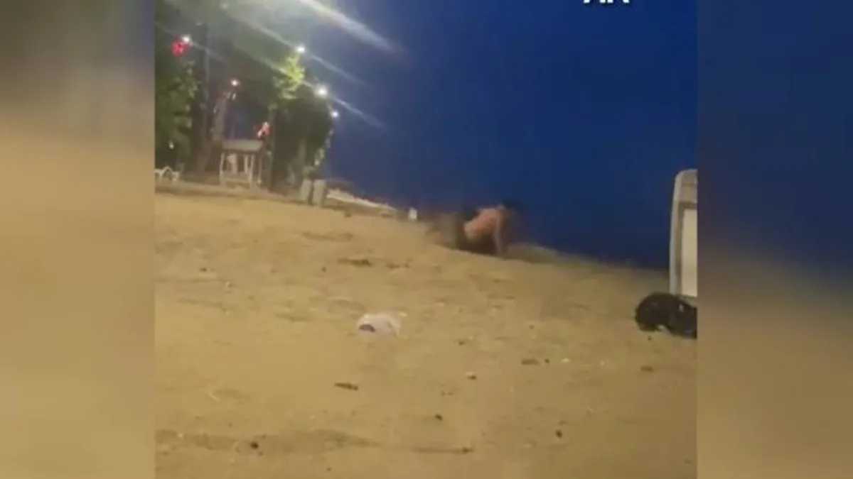 Yalova'da dehşet anları kamerada: Sahilde güreş antrenmanı yapan gençlere köpek saldırdı