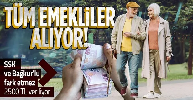 Emekliye 2.500 TL