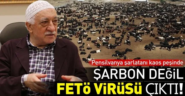 Şarbon değil FETÖ virüsü çıktı