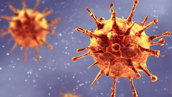 koronavirus-mutasyona-ugradi-kuveyt-ingiltereye-hava-yolunu-kapatti-1608489524369.jpg Koronavirüs mutasyona uğradı! Kuveyt, İngiltere'ye hava yolunu kapattı-6