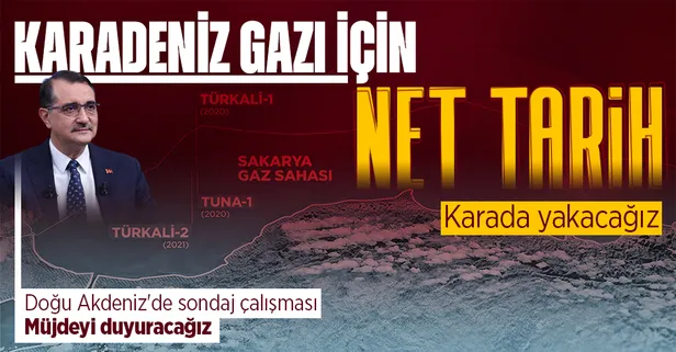 SON DAKİKA | Enerji ve Tabii Kaynaklar Bakanı Fatih Dönmez'den flaş Abdülhamid Han açıklaması: 45-60 günlük süremiz var