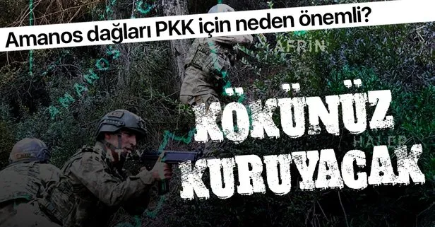 Teröristlerden temizlenen Amanos Dağları’nın PKK terör örgütü için önemi nedir?